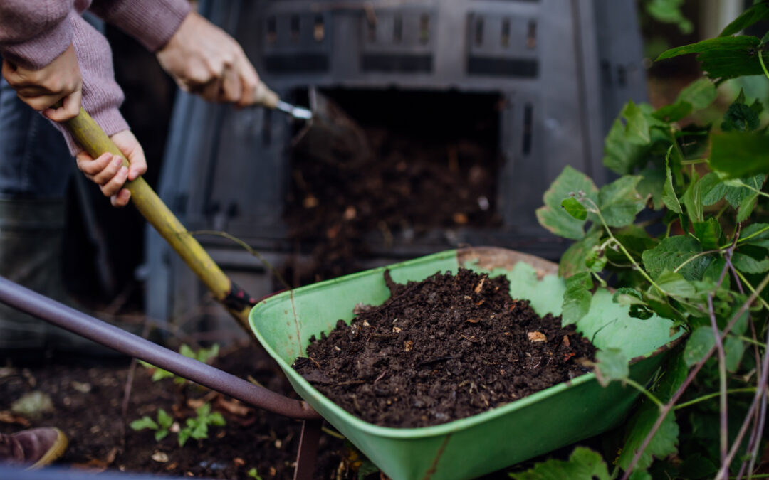 The Rise of Composting: From Niche to Norm