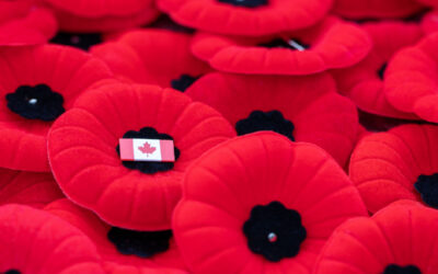 Support for Veterans and Remembrance Day