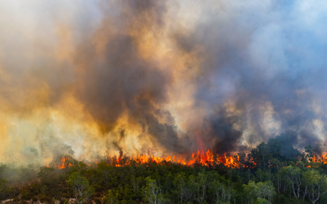 Attitudes towards Extreme Weather Events
