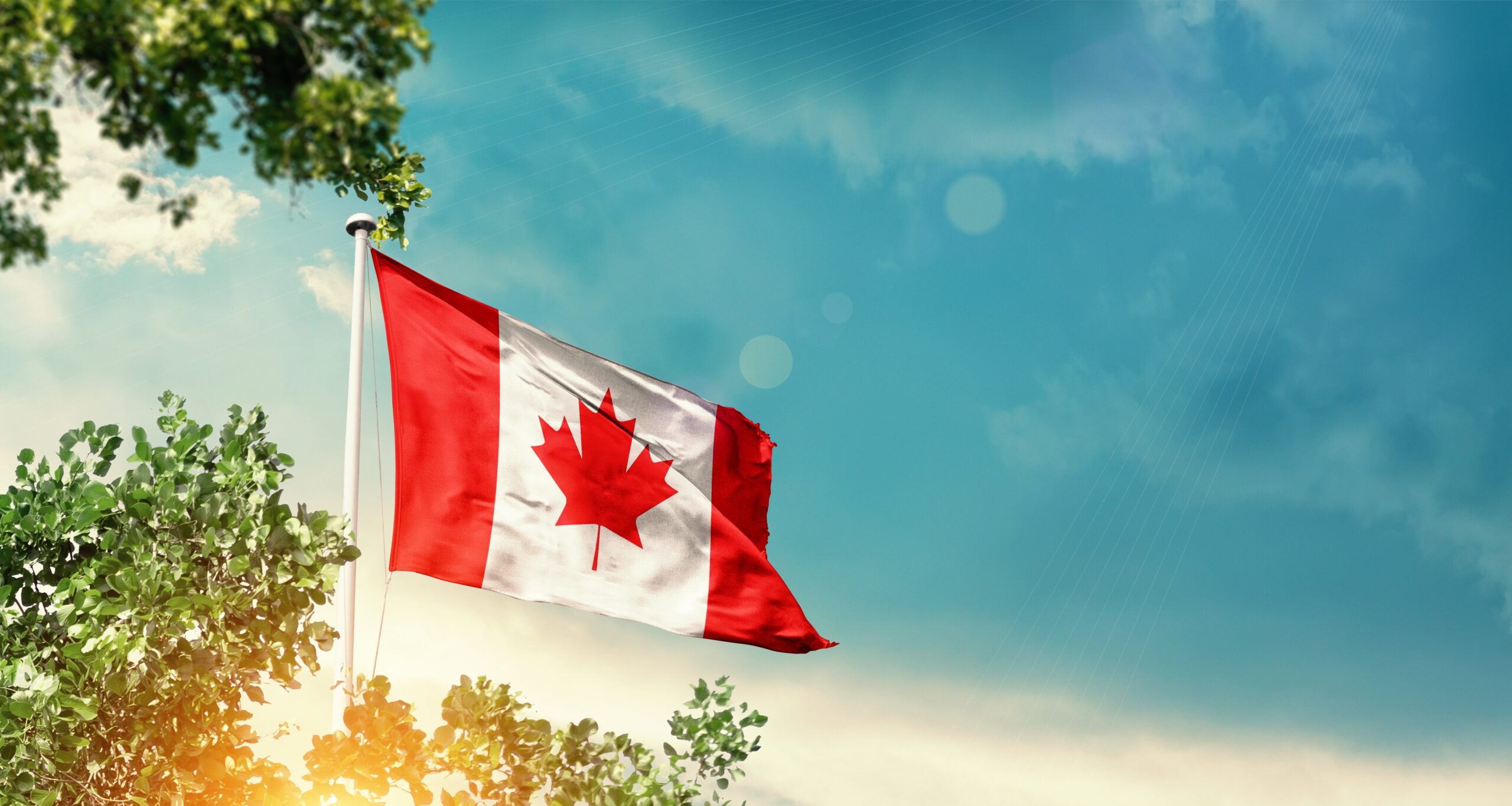 Economic Confidence: Canada 2025
