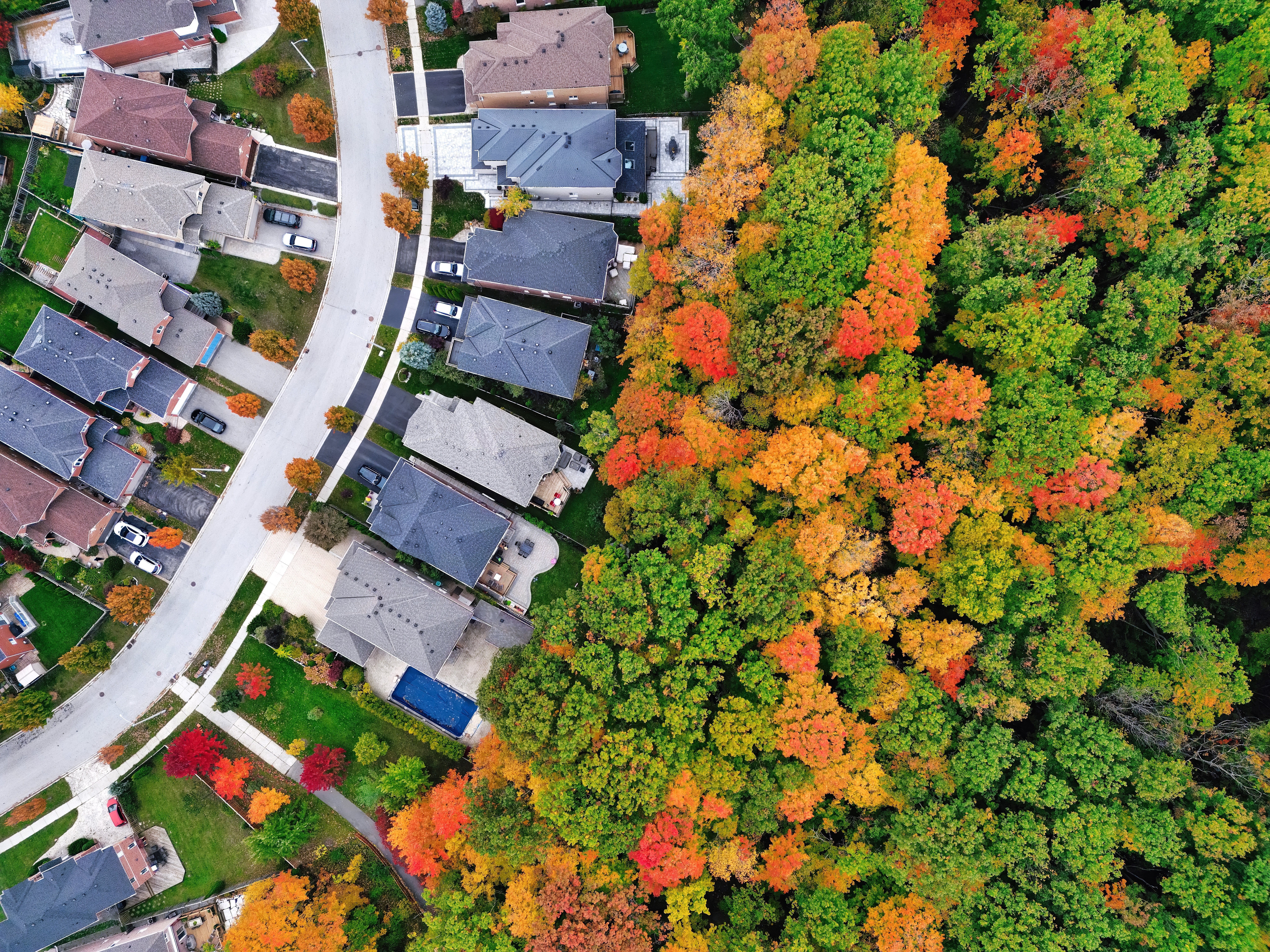 Happy Cities: How Happy Are Canadians? Leger Releases New Happiness Index