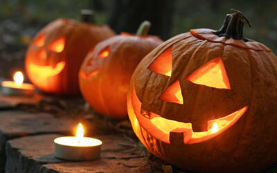 Halloween Habits and Beliefs