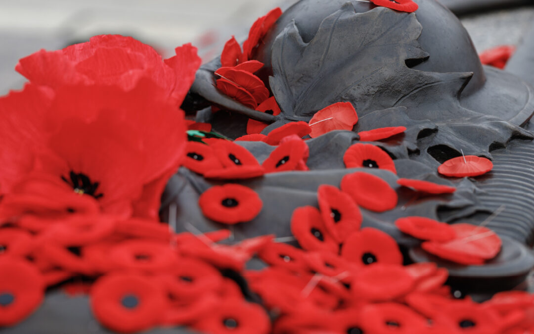Canada Remembrance Day: As Participation Slips, Support for Statutory Holiday Holds